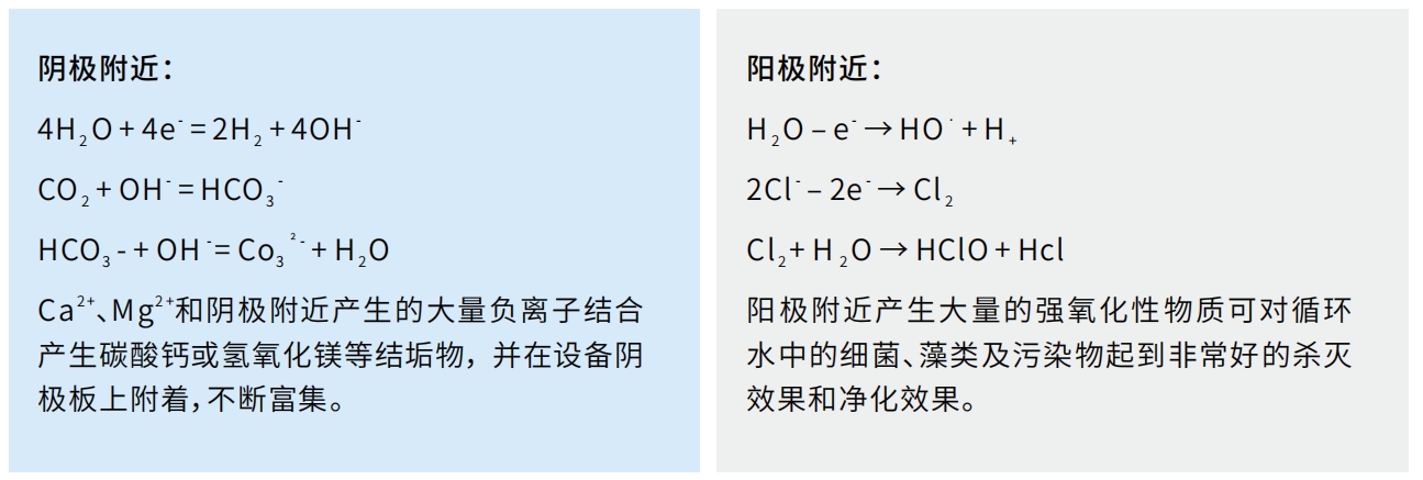电化学水系统DLEWT